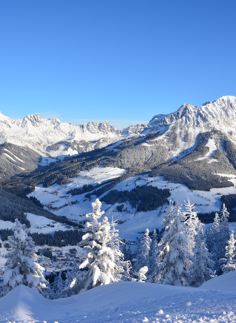 Panorama with snow-covered trees and the impressive Dachstein massif in clear winter weather. | © Bergbahnen Filzmoos GmbH