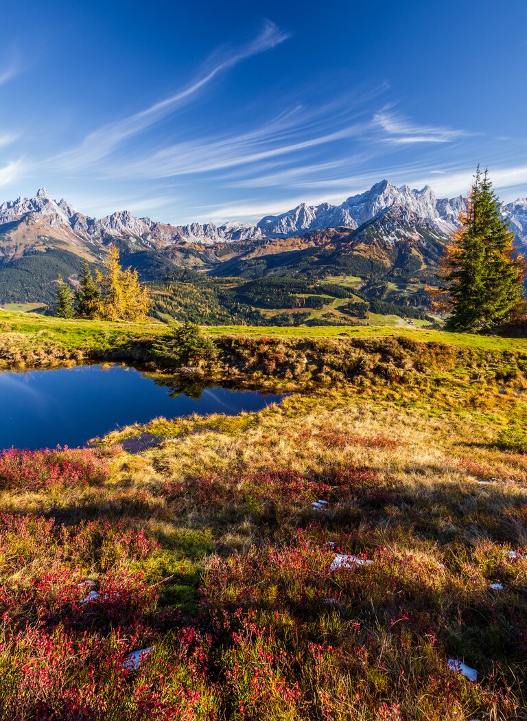 Autumn mountain meadow with small ponds, colorful foliage and Alpine panorama under blue sky. | © Bergbahnen Filzmoos GmbH