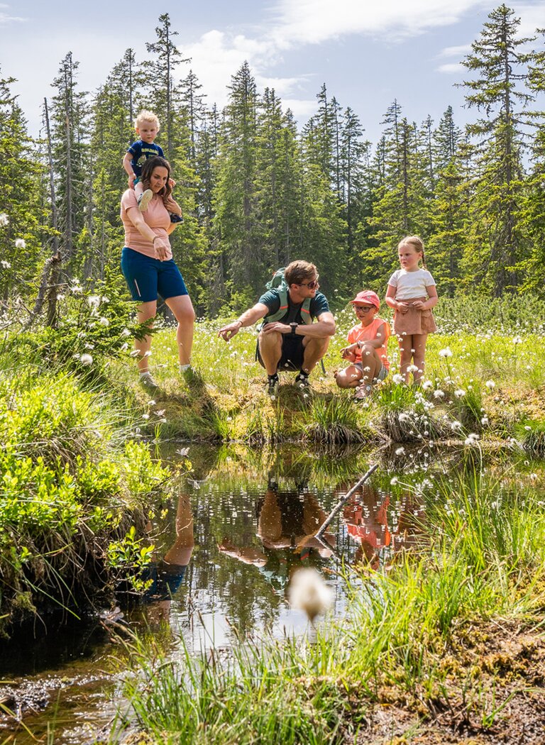 Eine Familie erkundet einen kleinen Naturteich auf einer Waldlichtung mit Wiesen, Bäumen und klarem Himmel. | © Bergbahnen Filzmoos GmbH