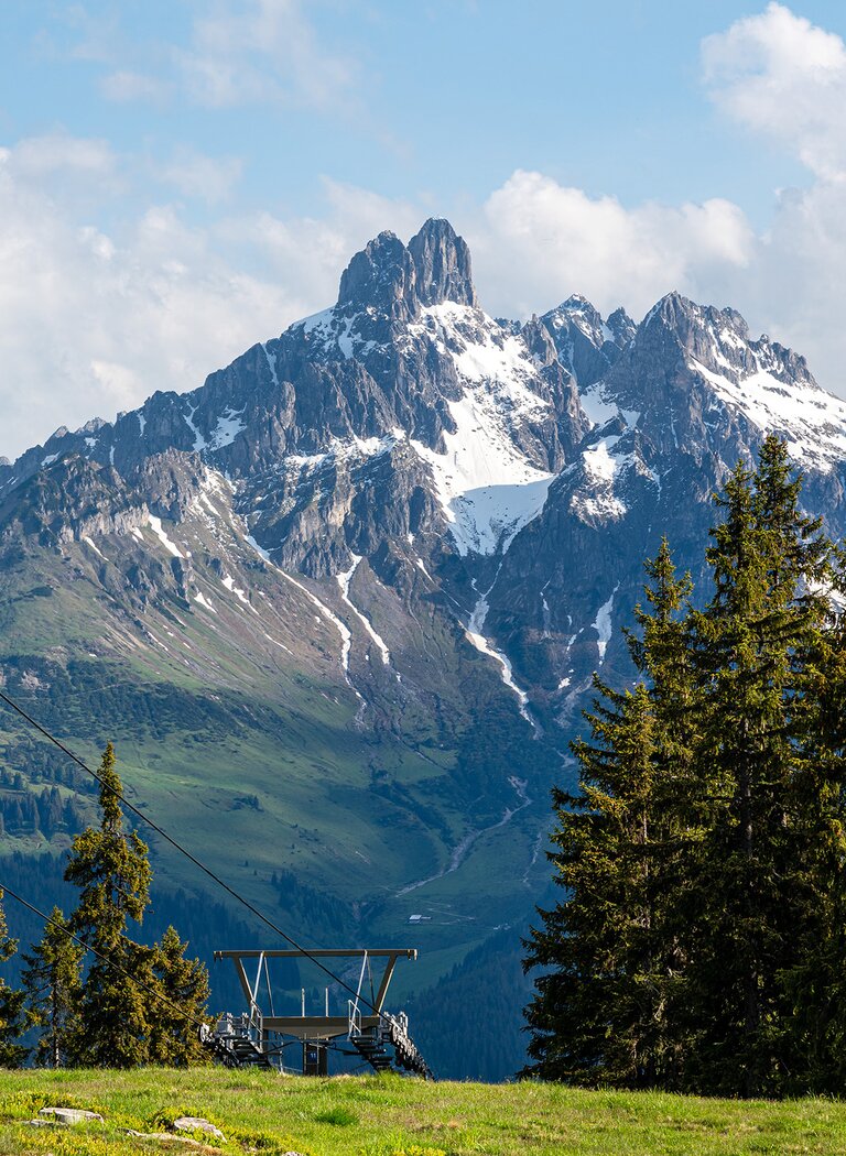 A cable car travels above green alpine meadows and conifer forest before a striking Alpine peak with snow patches. | © Coen Weesjes