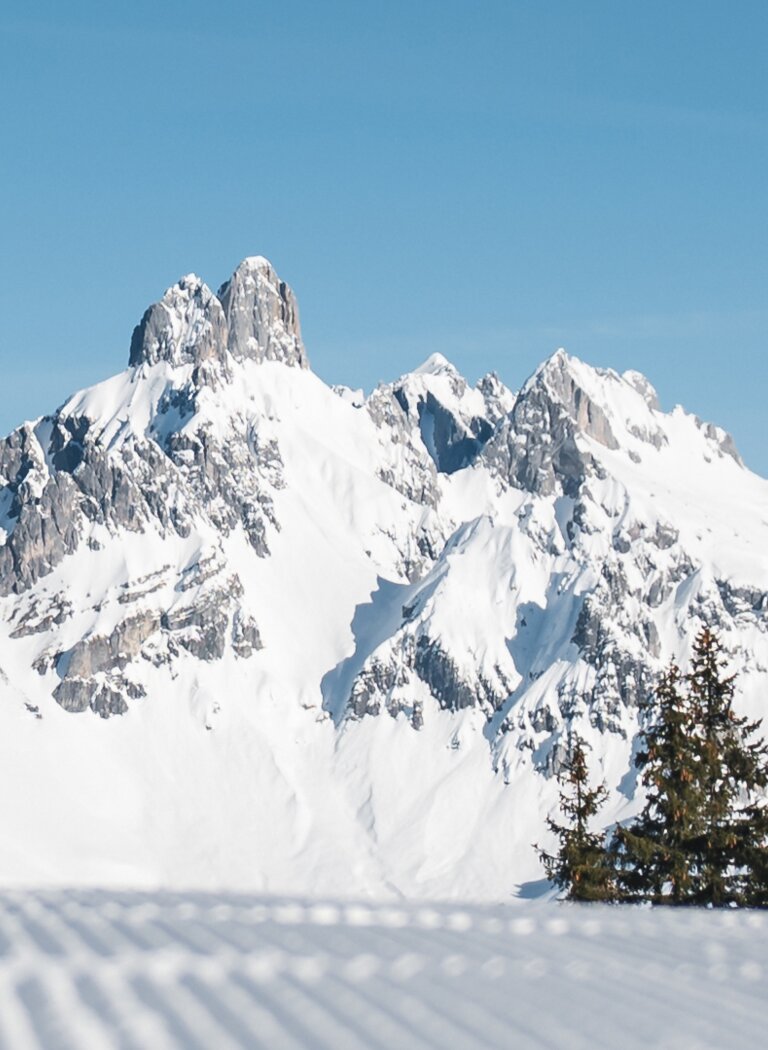Blick auf präparierte Piste, verschneite Bergspitzen, Skiliftstation und Tannen im Vordergrund | © Bergbahnen Filzmoos GmbH
