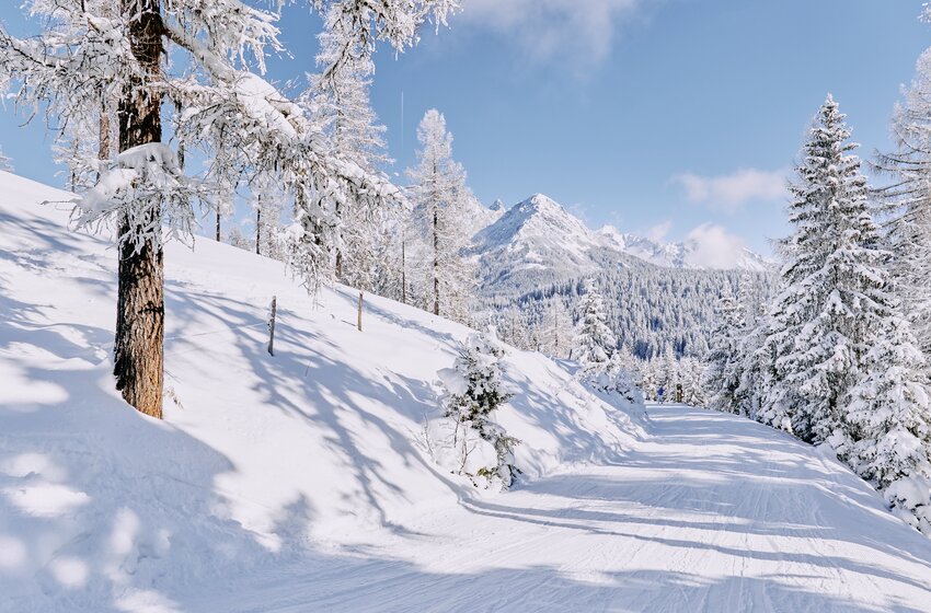 Snow-covered forest trail with deep snow, shaded trees and a scenic mountain view in the background. | © Bergbahnen Filzmoos GmbH