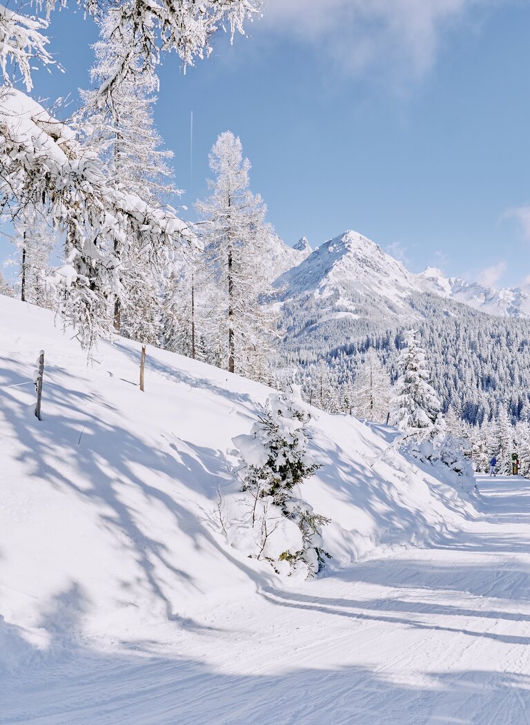 Verschneite Waldloipe mit tiefem Schnee, schattigen Bäumen und Bergpanorama im Hintergrund. | © Bergbahnen Filzmoos GmbH