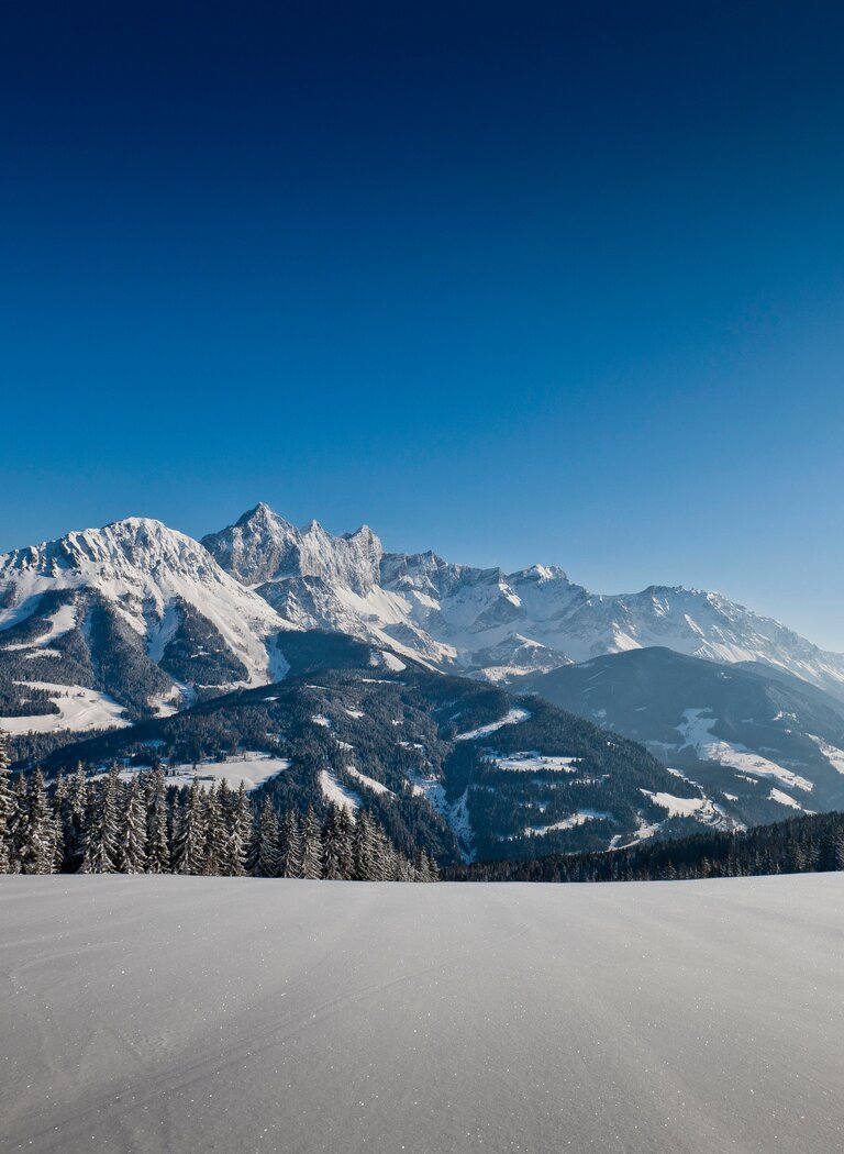 Verschneite Lichtung mit Blick auf das Dachsteinmassiv und winterliche Wälder unter klarem Himmel. | © Bergbahnen Filzmoos GmbH